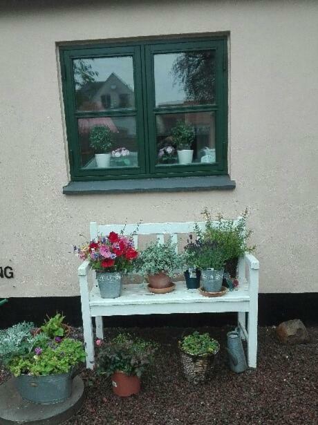 Pegasus Bed And Breakfast Helsinge Екстериор снимка
